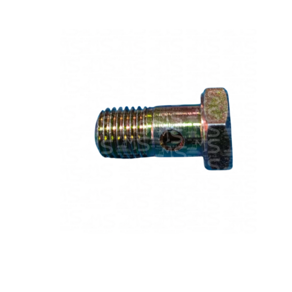 Racor TORNILLO LUBRICADOR ACERO (venta por unidad)