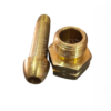 Glándula  Acetileno