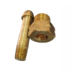 Glándula  Acetileno