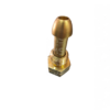 Glándula  Acetileno